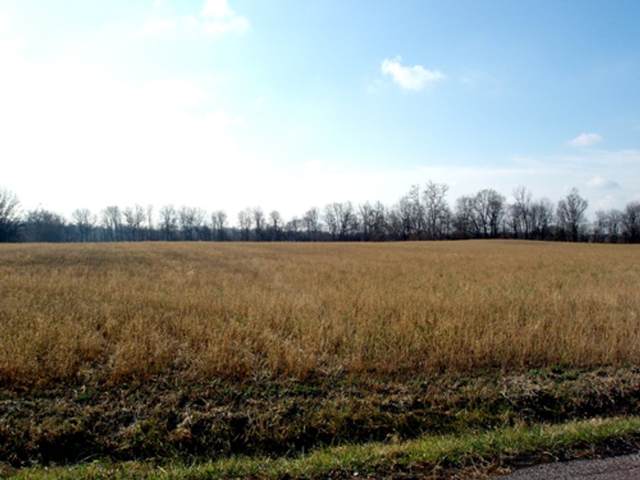For sale: 76.477 Acre Grain & Livestock Farm - NE of Connersville, IN